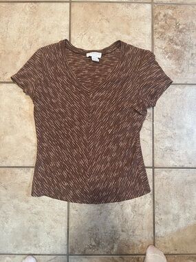 Express Brown Space-Dye V-Neck Short Sleeve Top